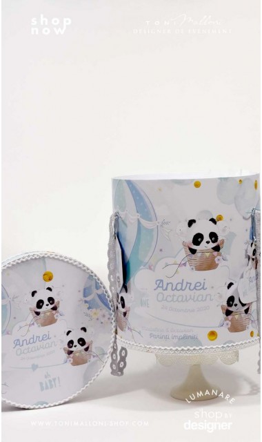 Trusou de botez cu ursuletul Panda ursul polar si baloane de aer cald Panda 1